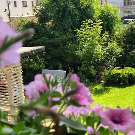 בית הארחה Ido Năvodari